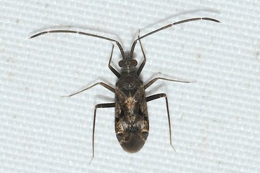 ���å��������ߥ���20250923