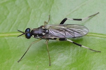 �ߥĥܥ������֥�ɥ�20220515��