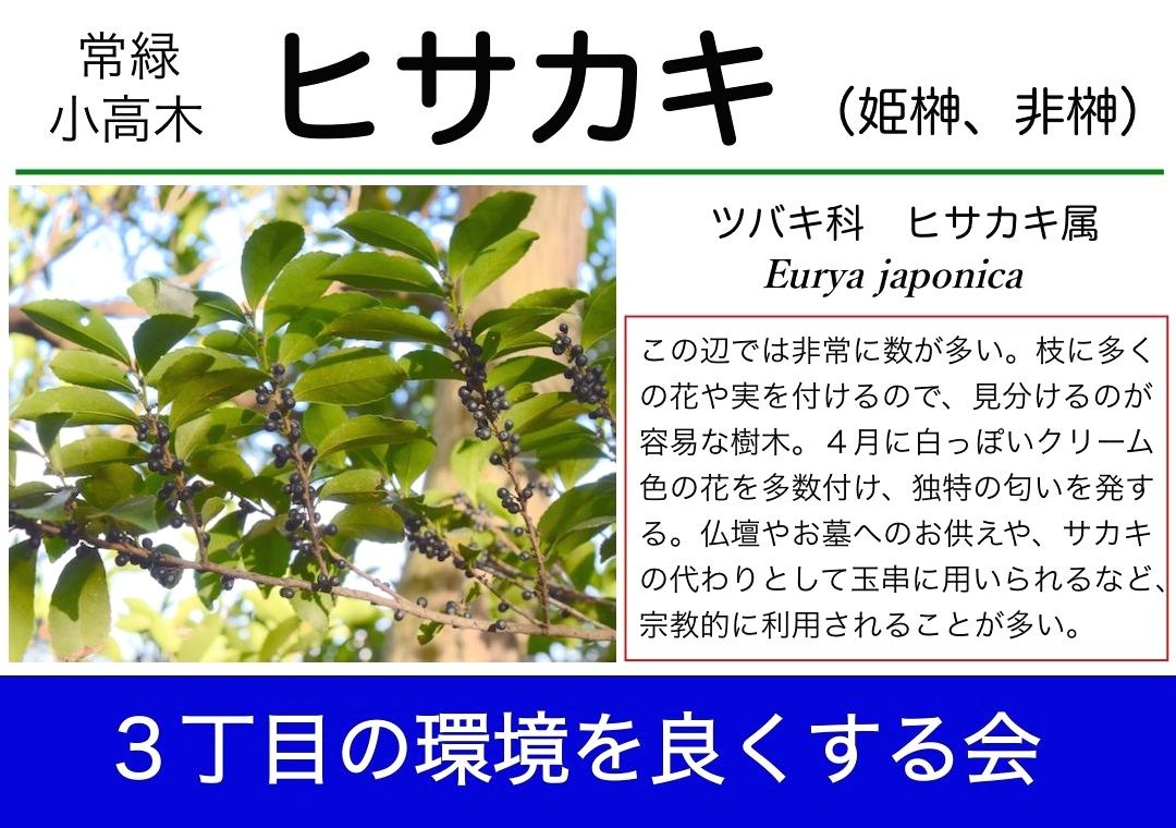 樹名札取り付け予定 山中比叡平の防災