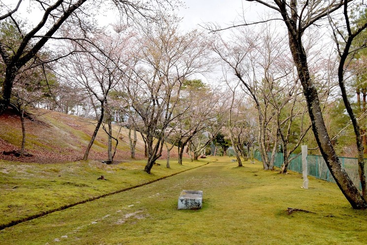 かみなり山20210325b