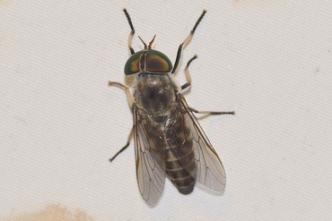 �ޥĥ�ȥ��֡�20210804a