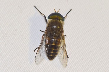 ��������20210611