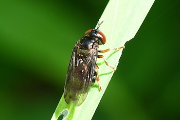 �ҥ��ꥤ�����ꥹ����D20250628