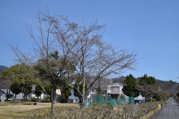 三丁目三角公園