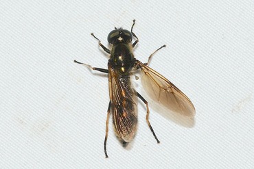 ���ߥ�����20251023D2