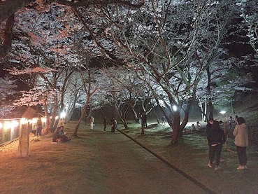 ライトアップ20210330−3