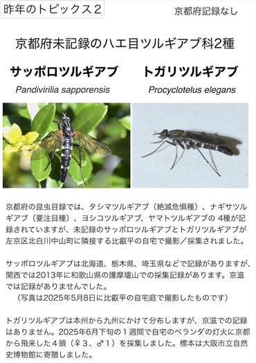 �ĥ륮����