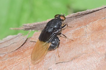 �ͥ����ߥ�����20230522