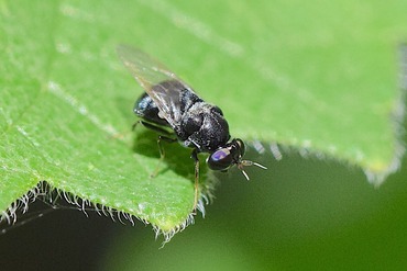 �ߥ����֤ΰ��20230721a