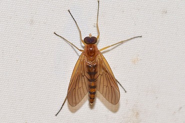 �������֤ΰ��20230617