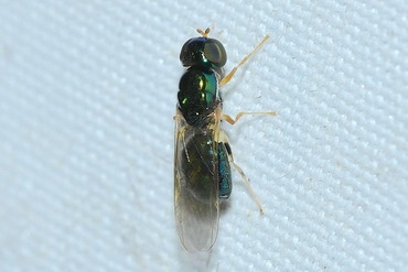 �ϥ饭��ߥ����֡�20250627