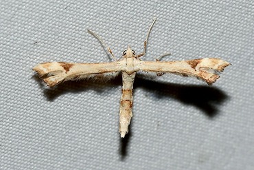 ���������ȥ��20250912