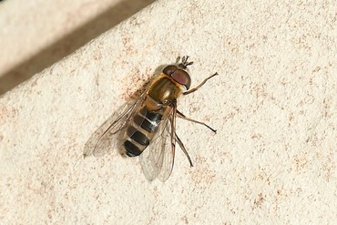 �����ҥ饿����20250916