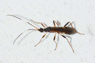 �����ϥ�20251014