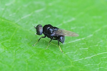 �ߥ����֤ΰ��20240621c