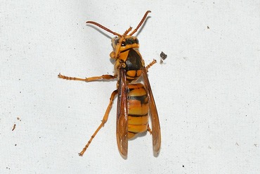 ������������Х�20251002