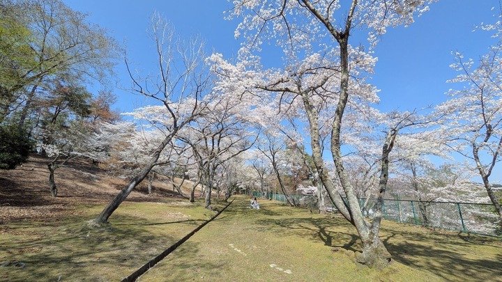 PXL_20260403_042958689