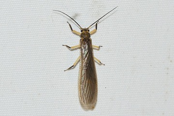 ���沈��ΰ��20260613