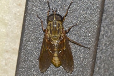 ��������20210808