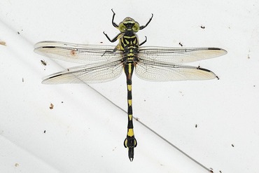 ���������20250814