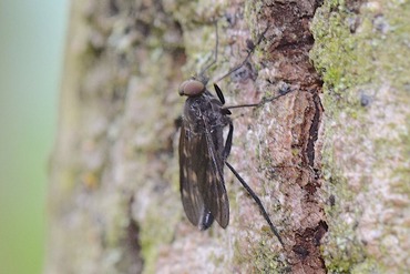 �������֤ΰ��20200510