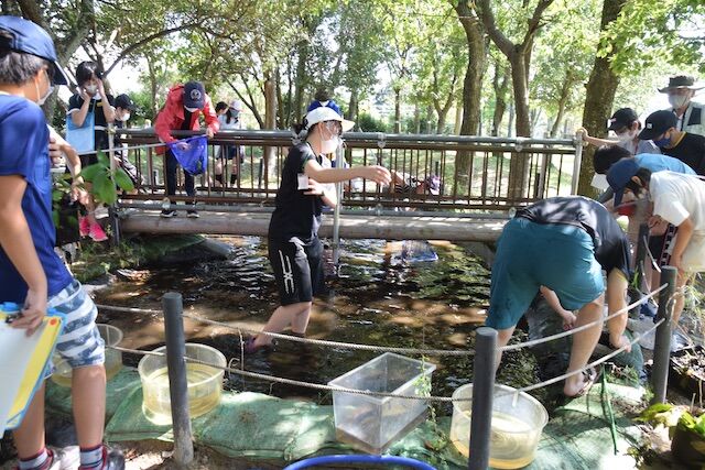 だいらっこの池の掃除と水環境学習 山中比叡平の防災