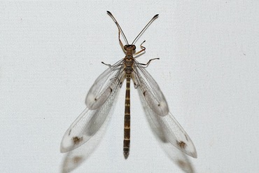 �ۥ������Х�������20250901