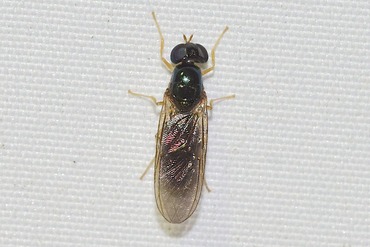 �ߥ����֤ΰ��20220606