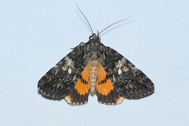 �ե�����������20250630