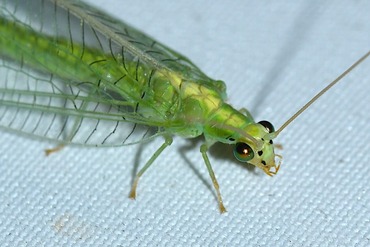 ��ĥܥ�������������20250628