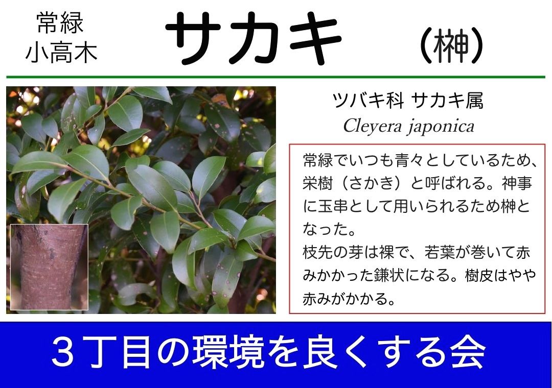 樹名札取り付け予定 山中比叡平の防災