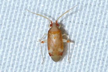 ���̥��ҥ��������ߥ���20250712a