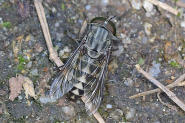 �����ե���20210623