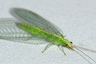 ��ޥȥ�����������20250927