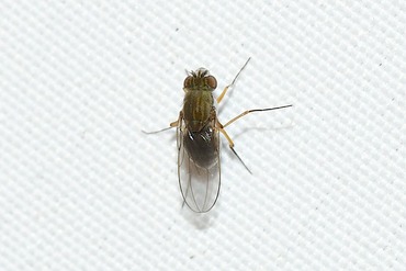 �ߥ���Х��ΰ��20250915