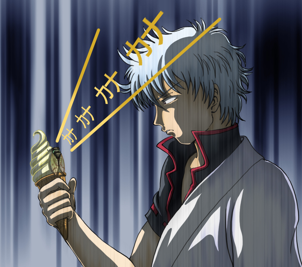 怪盗キッド 銀魂 ガドウィールのわんわん日記ｄｏｓ