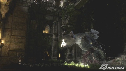 the-last-guardian-20090610095341363