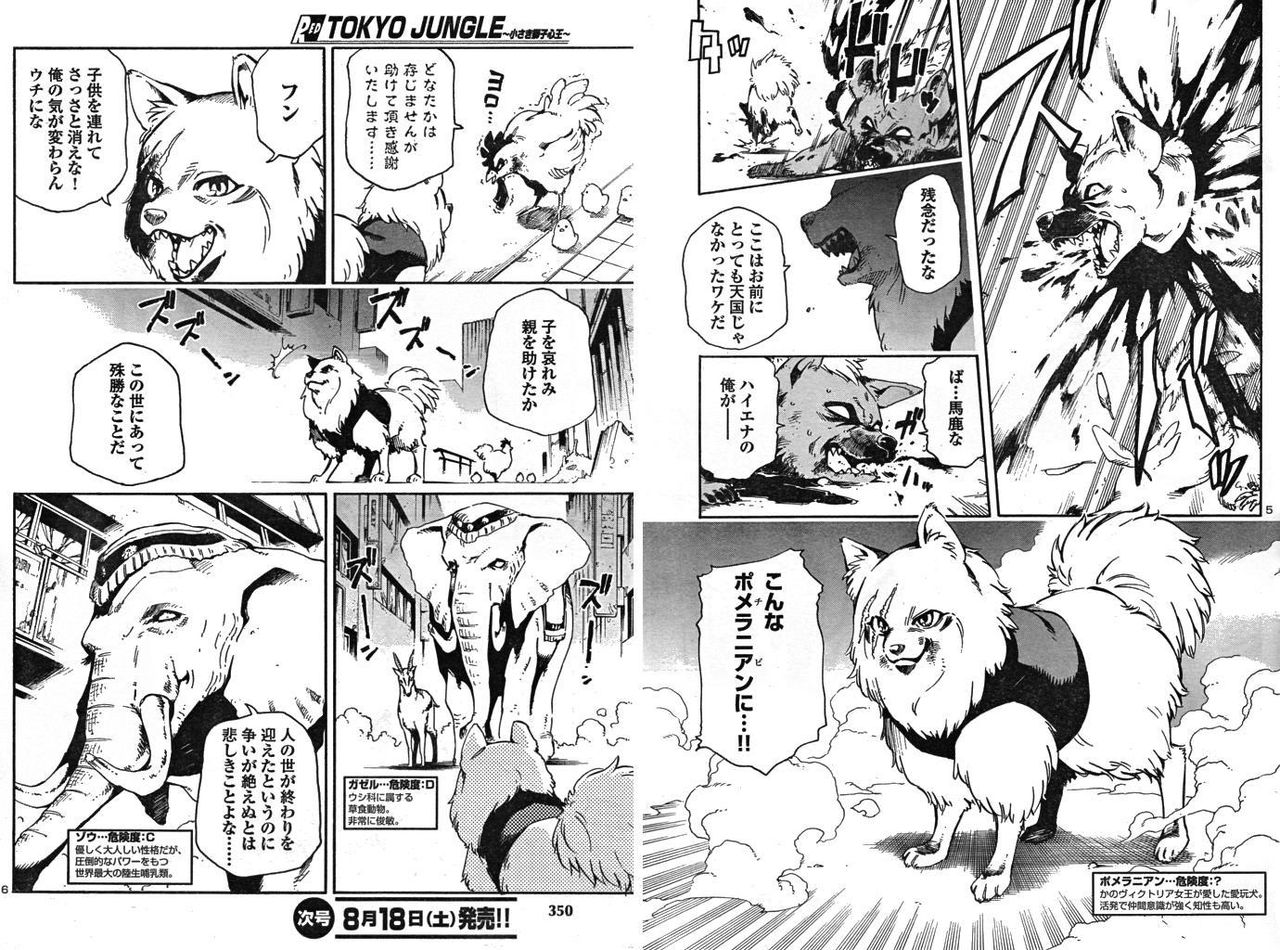 カオスな情報置場 今月号のチャンピオンredにps3 Tokyo Jungle の読みきり掲載 ポメラニアンイケメン過ぎて濡れたわ カオスな情報置場 今月号のチャンピオンredにps3 Tokyo Jungle の読みきり掲載 ポメラニアンイケメン過ぎて濡れたわ