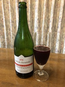 のぼっこ2018
