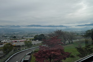 DSCF8599