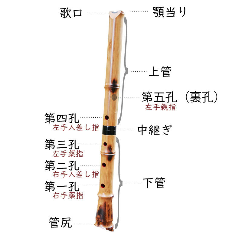 本調子」と「二上がり」・三味線の調弦と尺八 : fueブログ