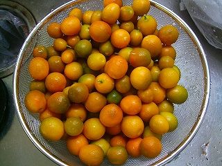 焼酎の おつまみ に甘ずっぱい 金柑漬け はいかが Fueブログ