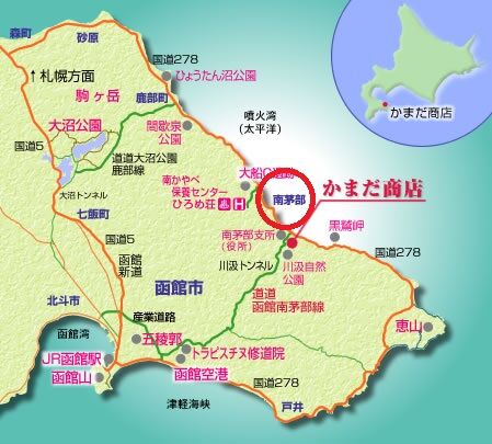 Amazon.co.jp: お稽古用教材「民謡カラオケ倶楽部シリーズ