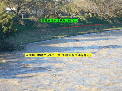 19号台風