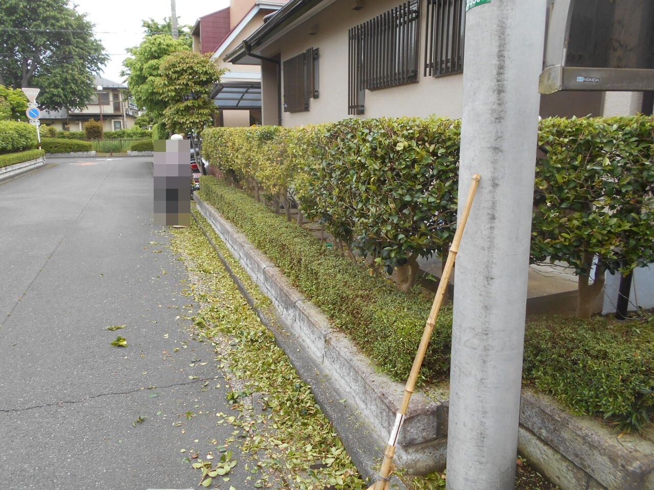 1日バリカンと1日分野菜 生垣の剪定と焼酎 剪定バリカン Fueブログ 1日バリカンと1日分野菜 生垣の剪定と焼酎 剪定バリカン Fueブログ