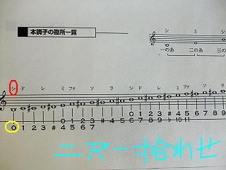 三味線と尺八の合わせの仕方により 三味線のつぼ番号がずれてくる Fueブログ