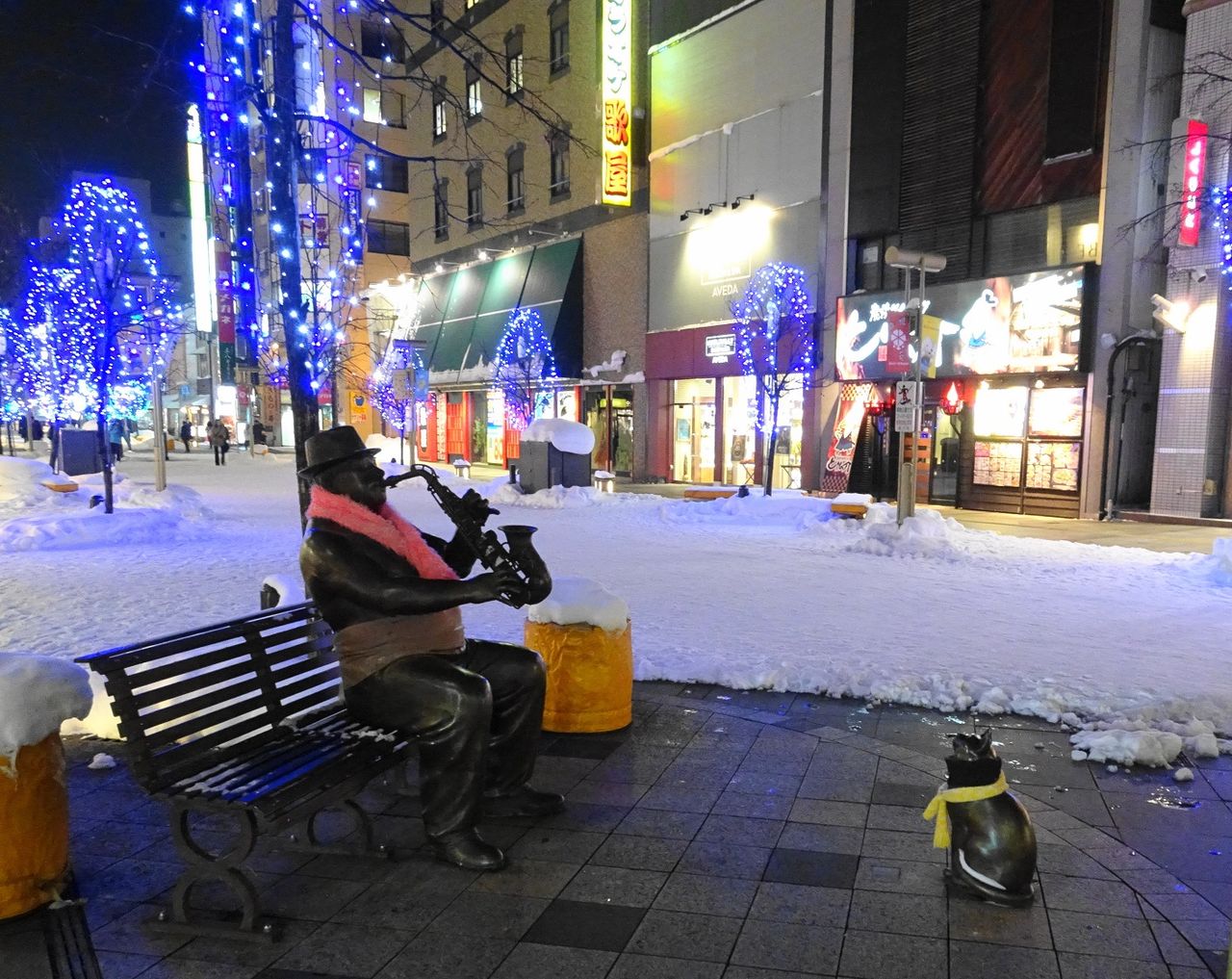 夜の旭川駅前 買い物公園 北の竹人