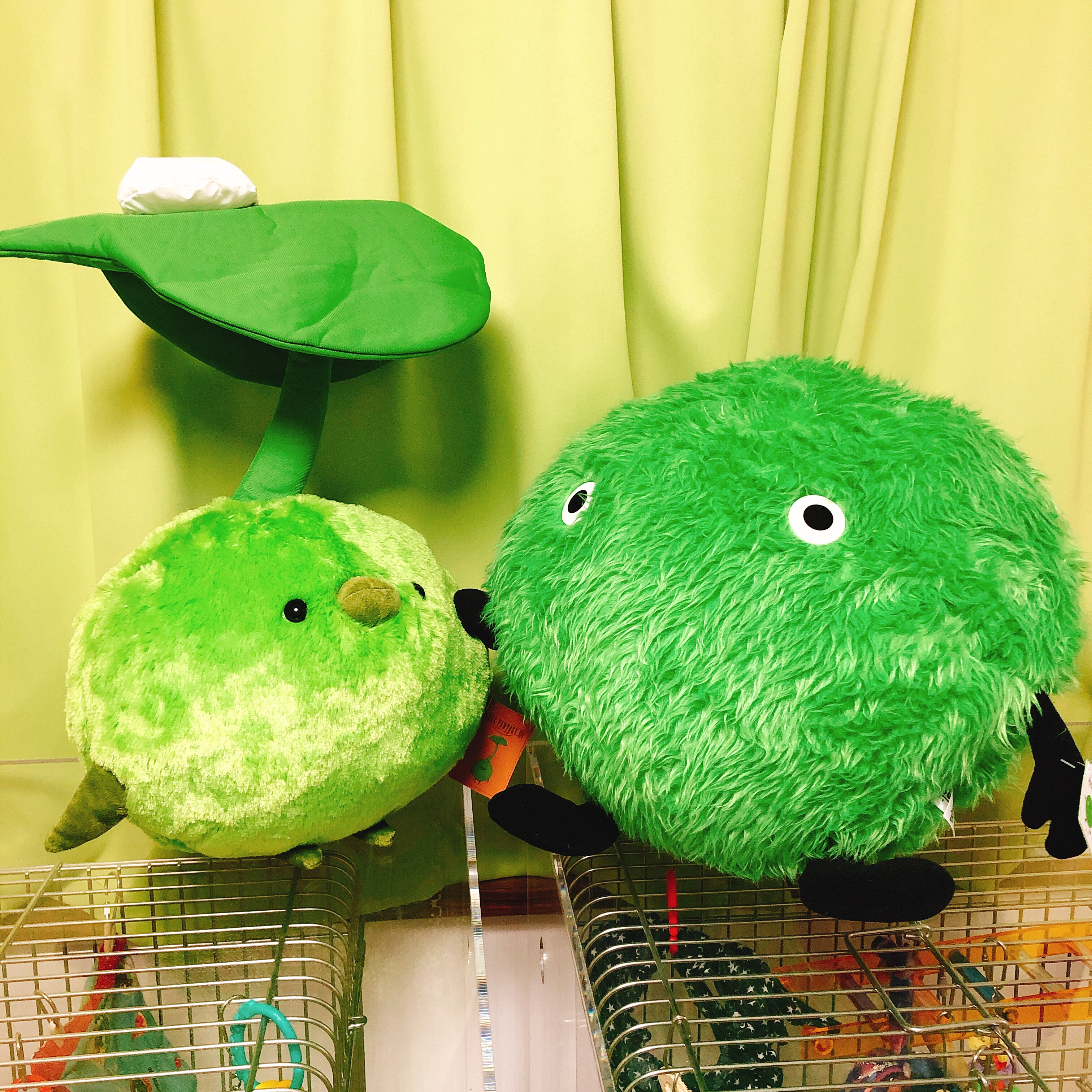 特大サイズ : とりまみれ雑記