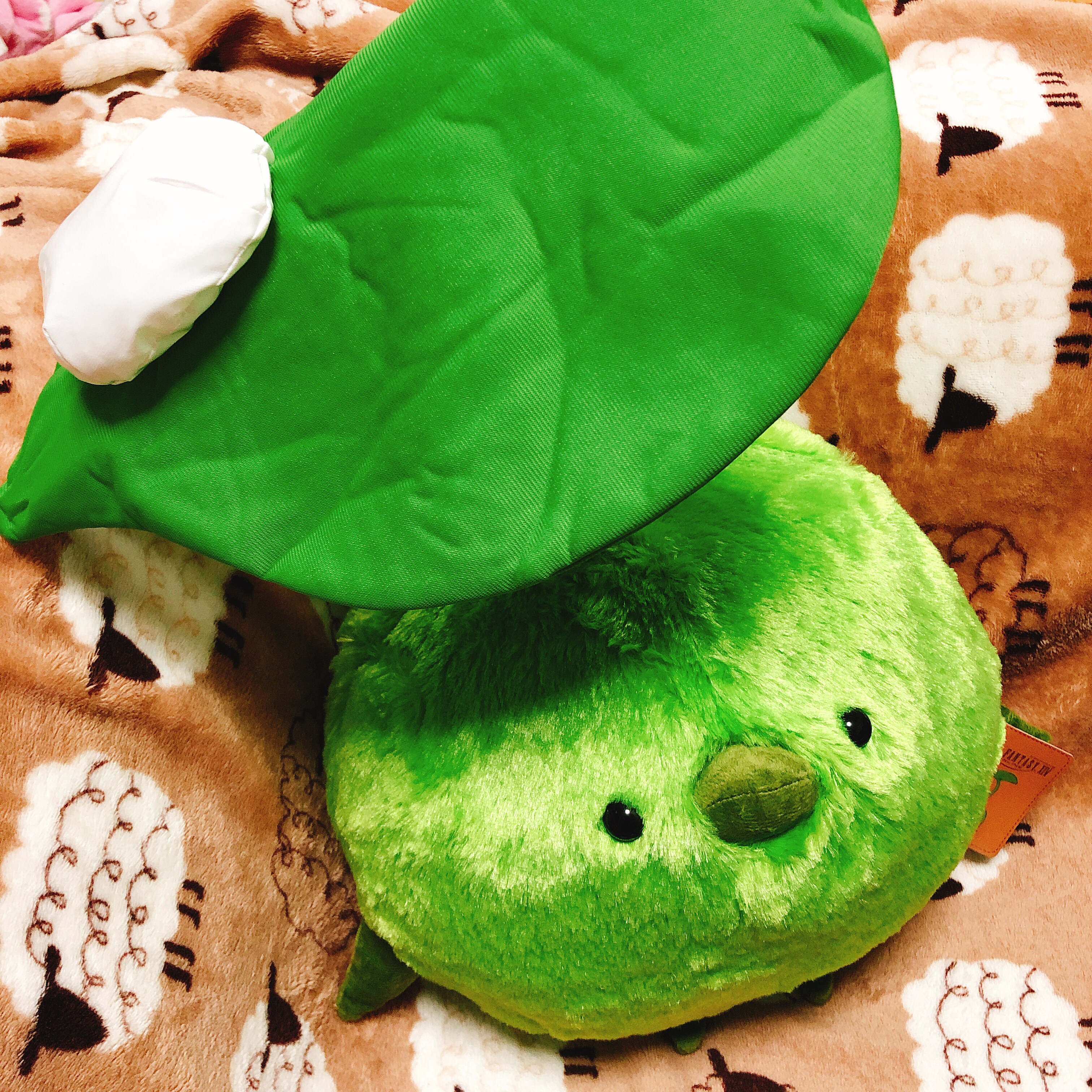 特大サイズ : とりまみれ雑記