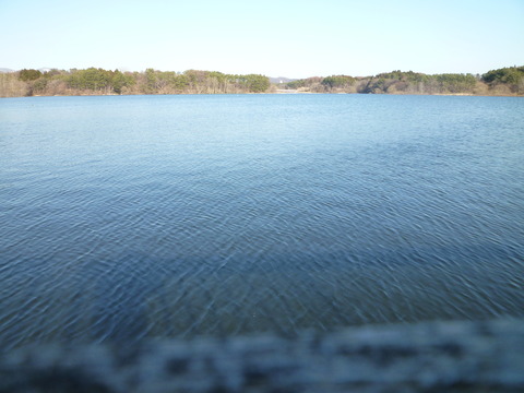P1040919